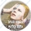 placka, odznak David Bowie - Hunky Dory