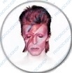 placka, odznak David Bowie - Aladdin Sane