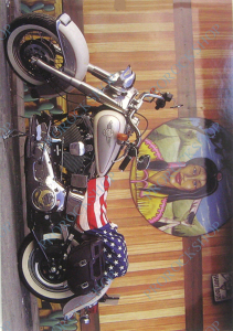 pohled Harley Davidson  .