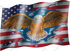 vlajka USA s orlem