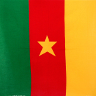 šátek vlajk Kamerun