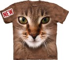 triko kotě, kočka - Striped Cat Face
