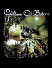 nášivka na záda, zádovka Children Of Bodom - Relentless Reckless Forever