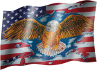 vlajka USA s orlem