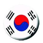 placka / button Korea